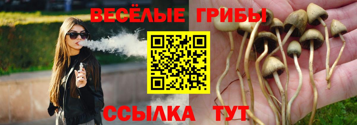 Псилоцибиновые грибы мицелий Карабулак